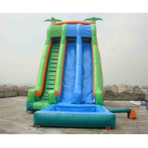 Buy cheap Commercial Grade Inflatable  Pool Slide with Palm Trees from wholesalers