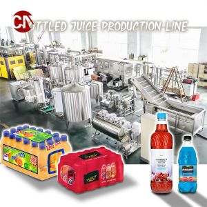 Customized Request 3000lph Capacity Fruit Juice Processing Line with Sachet