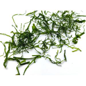 Unsalted Enteromorpha Prolifera Flakes Jade Green 180g Jar Salad Omelette Boost