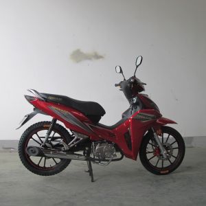 Buy cheap 6.5KW Front Disc Brake TR135-NG Cub Motorcycle from wholesalers