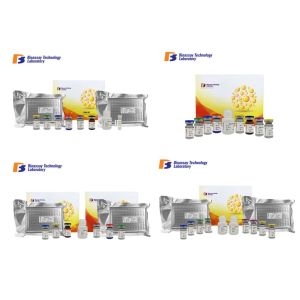 Buy cheap Research MSTN ELISA Assay Kit Sandwich Assay With Oem Service 2 - 8°C Storage from wholesalers