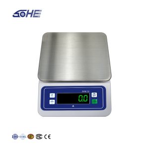 ABS Material 430 Stainless Steel Plate Table Scale for Advanced S2 Waterproof