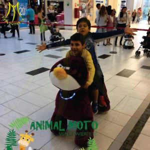 Buy cheap Hansel entertainment stuffed walking indoor rides electric animal scooters from wholesalers
