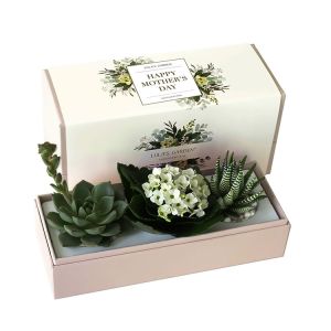 Buy cheap Custom Printed Succulent Planter Gift Box Succulent Packaging Box from wholesalers