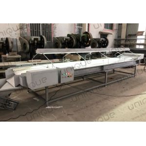 Plum Nuts Palm Dates Inspection Conveyor Made of 304 Stainless Steel for Your