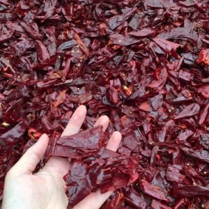 China Xinglong Dried Chilli Seeds 15000SHU Spicy Delicious Nutritious on sale