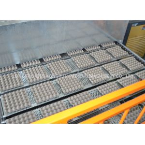 Large Capacity Pulp Egg Tray Machine / Apple Tray Moulding Machine