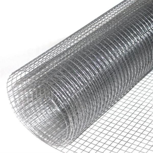 PVC Coated 8 Gauge Rust-resistant Hot-dip Galvanized Welded Wire Mesh Rolls