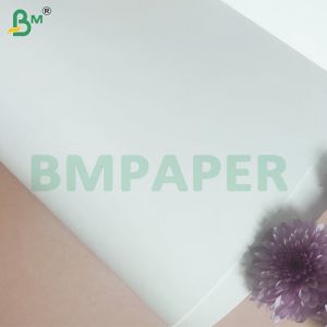 High Absorption Properties Absorbent Paper Sheets for Beer Mats