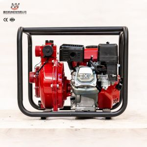 Buy cheap Firefighting 10 Hp Agriculture Water Pump Gasoline Farm Irrigation Pumps from wholesalers