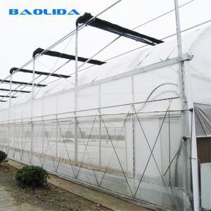 Buy cheap Side Ventilation Clear Multi Span Greenhouse With Outside Shading System from wholesalers