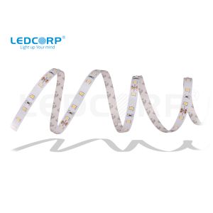 Buy cheap High Efficacy LED Strip 8w/m1600lm/m New Available in IP20 IP44 IP54 IP62 IP65 IP66 IP67 IP68 from wholesalers