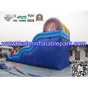 Inflatable Water Slide For Amusement Park / Inflatable Pool Slide