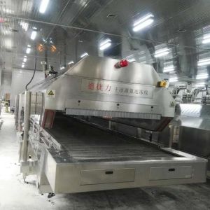 Buy cheap Conveyor Fast Freeze Freezer  Seafood Commercial Blast Chiller 2000kg/H 2500kg/H from wholesalers