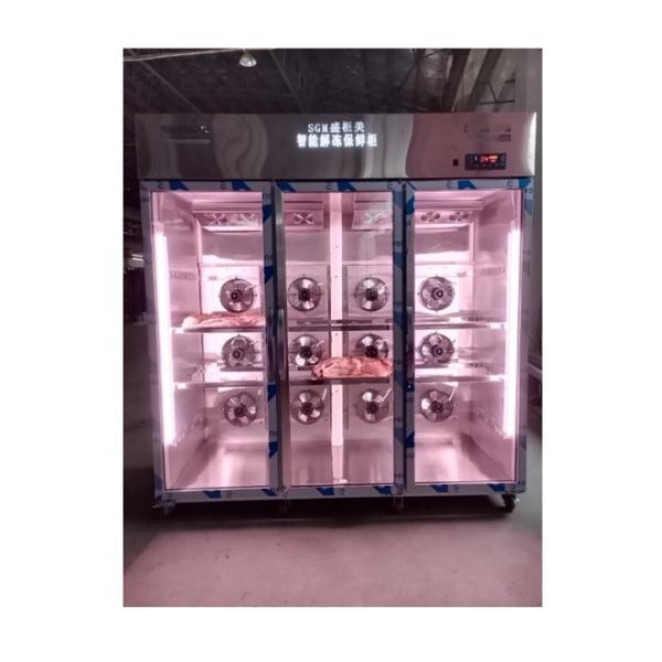 Quality Timer Freeze Thaw Chamber Cabinet with Automatic Defrosting Method for sale