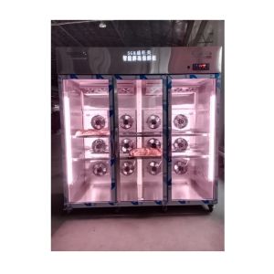 Buy cheap Timer Freeze Thaw Chamber Cabinet with Automatic Defrosting Method from wholesalers