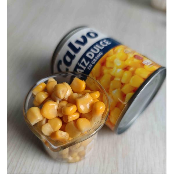 Quality A9 A10 Tin Fresh Sweet Corn Kernels In Water for sale