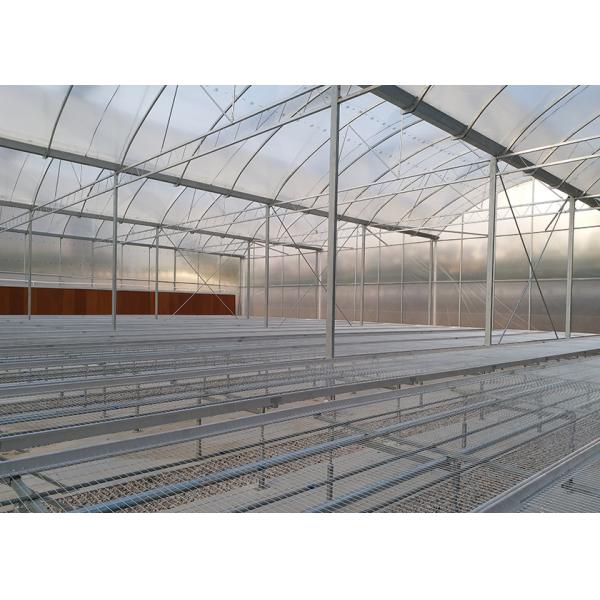 Buy cheap Easy Installation Multi Span Greenhouse With Large Diameter Frame Anti Wind Design from wholesalers