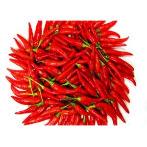GMP Dried Birds Eye Chilli Peppers Chinese With Seeds 15000SHU