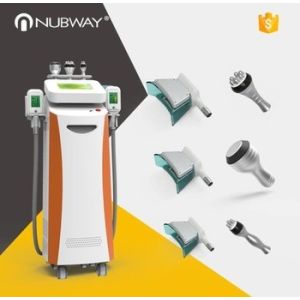 Buy cheap 2019 Beauty system 5 handles fat freeze cryo slimming fat freezing vertical Cryolipolisis machine from wholesalers