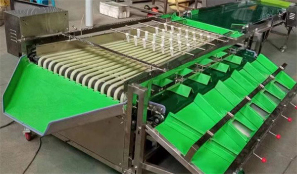 Buy cheap olive sorting machine, cherry tomato grading machine, dates sorting machine from wholesalers