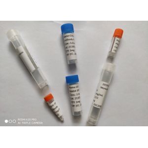 Buy cheap Recombinant Mouse Monoclonal Antibody (2019-NCoV) Spike Neutralizing Antibody, Mouse Custom Monoclonal Antibody Mab from wholesalers