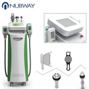 Buy cheap 2018 latest multifunctional Lipocryo fat freezing device cryolipolysis body slimming machine with 5 handles from wholesalers