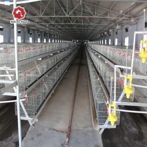 Buy cheap Durable Layer Baby Chick Cage SGS Manure Removing from wholesalers