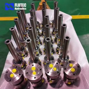 Stainless Steel Small Engineering Machinery Hydraulic Cylinder Custom Made