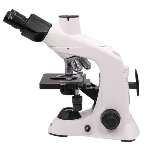 Hot Sale Optical Biological Microscope With Compound Optical Microscope
