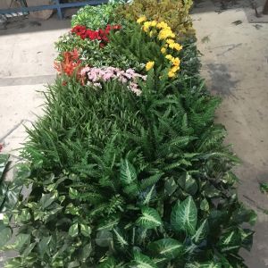 Buy cheap 6cm Thickness Synthetic Grass With Round Leaf Foliage Artificial Cost Leaf Wall from wholesalers