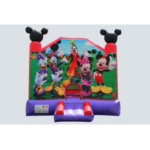 Inflatable Bouncer Castle House Party Jumping Bouncer Trampoline Theme