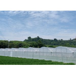 Buy cheap Customized Design Plastic Film Greenhouse , Lettuces Multi Tunnel Greenhouse from wholesalers