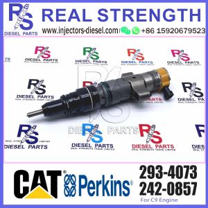 Buy cheap Diesel Pump Injector 387-9432 10R-7223 387-9431 293-4073 For Caterpillar C9 Diesel Engin Common Rail from wholesalers