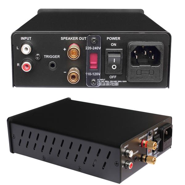 Mini Mono Subwoofer Amplifier Class D Solid Integrated Power Amplifier 100W For Home Theater