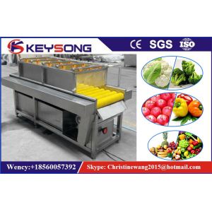 Industrial Bubble Vegetable Washer Machine , Big Capacity Vegetable Processor