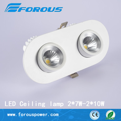 The high-end commercial lighting double LED trunk lamp 2*10W