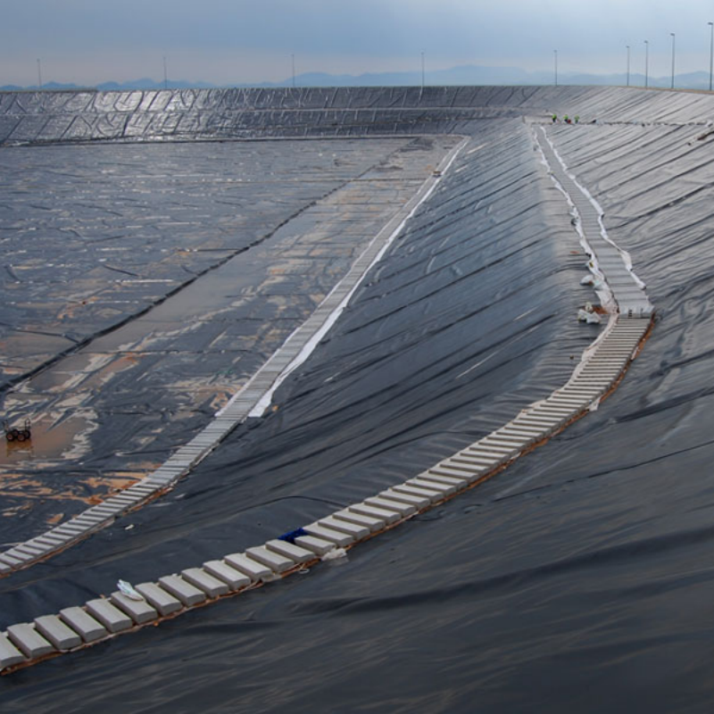 Wholesale Plastic Drainage Sheet Waterproofing Drainage Board Geomembrane for