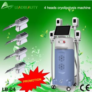 Buy cheap cryolipolysis cool body sculpting machine from wholesalers