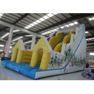 Buy cheap Big Inflatable Water Slides from wholesalers