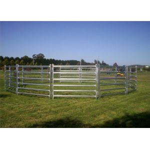 cattle panels Adelaide