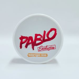 2024 2025 PABLO nic pouches can