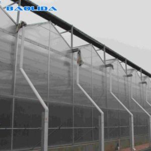 Buy cheap Agricultural Flowers Shading Multi Span Hot Dipped Galvanized Polycarbonate Greenhouse from wholesalers