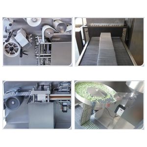 TIANHE DPP260 Pharmaceutical Capsule Tablet Automatic Blister Packing Machine