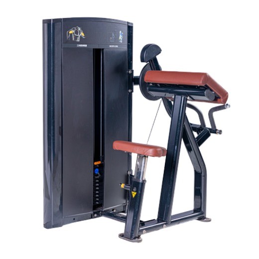 Buy cheap Top Quality Biceps Machine Gym Use Commercial from wholesalers