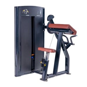Buy cheap Top Quality Biceps Machine Gym Use Commercial from wholesalers
