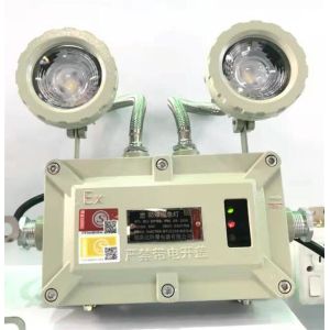 Buy cheap 2x3w Explosion Proof Emergency Exit Lights Sign Double Head Rechargeable from wholesalers