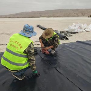 Buy cheap 1mm HDPE Geomembrane for Waterproof Projects Width 1m-8m Fish Pond Liner Dam Liner from wholesalers