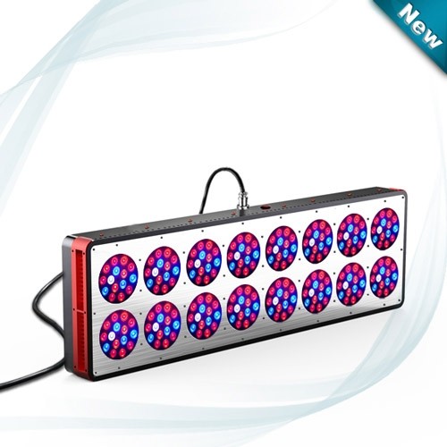 Buy cheap cidly 16 led grow light 600w for sales,led plant grow light with full spectrum from wholesalers