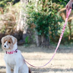 OEM training dog leash Silk Screen Pattern dog training lead